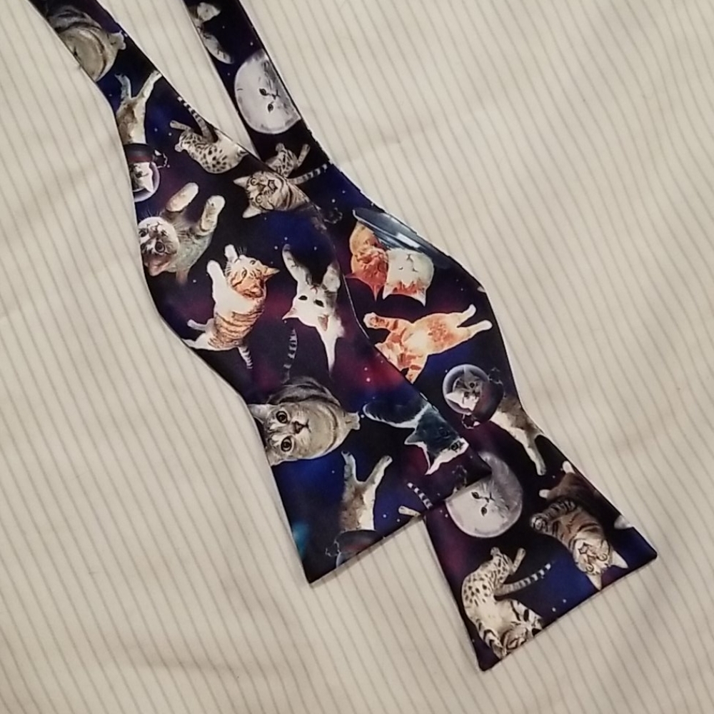 cats in space bowtie